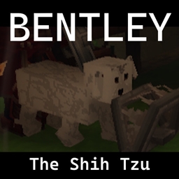 Bentley 模组