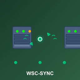 WSC-同步