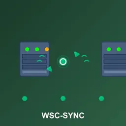 WSC-同步
