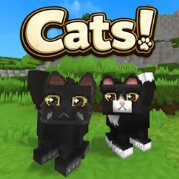亚历克的猫!