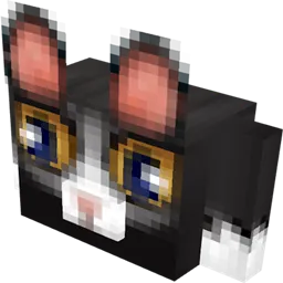 背包