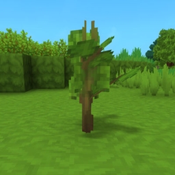 Skyblock Saplings