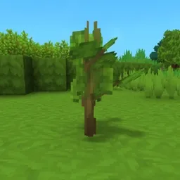 Skyblock Saplings