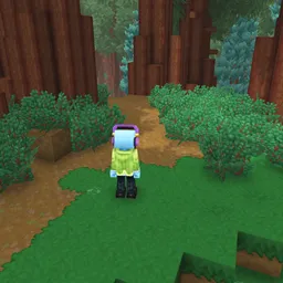 CodeCreature的 进一步第三人称