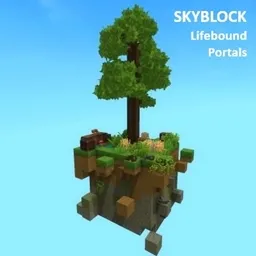 Skyblock 生命绑定传送门