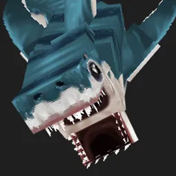 dromio 常规鲨鱼