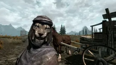 SRM 伴侣车