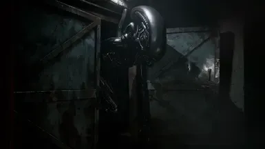 异形