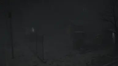 迷雾笼罩的浣熊市