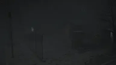 迷雾笼罩的浣熊市