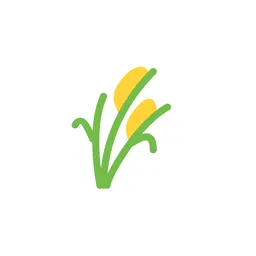 修复NoCube的模组