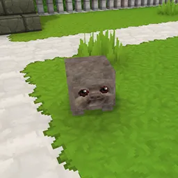 Scoobert