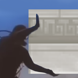 变体