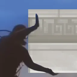 变体