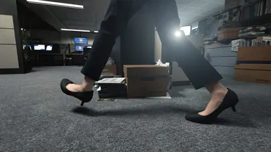 格雷斯的高跟鞋（联邦调查局）（可选丝袜）
