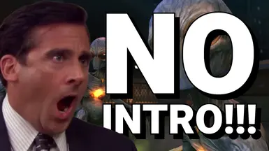 No-Intro (跳过启动 - 开场视频)