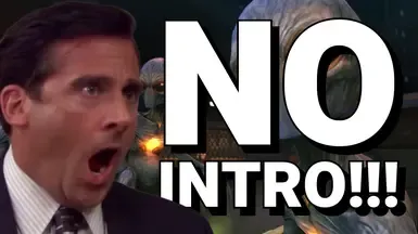 No-Intro (跳过启动 - 开场视频)