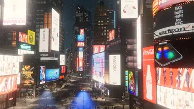真实的纽约