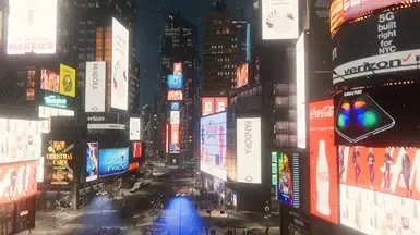 真实的纽约