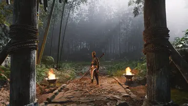 Wukong 但我的 GPU 不会着火(对我们 AMD 预算玩家来说的最佳模组)