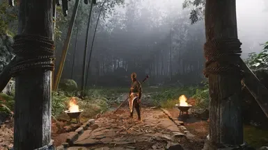 Wukong 但我的 GPU 不会着火(对我们 AMD 预算玩家来说的最佳模组)