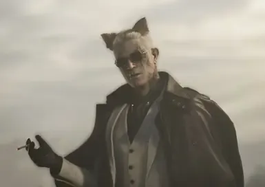 Zeno 猫耳