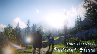 TrueSight reShade - 适用于《赤色沙漠》的Radiant Bloom