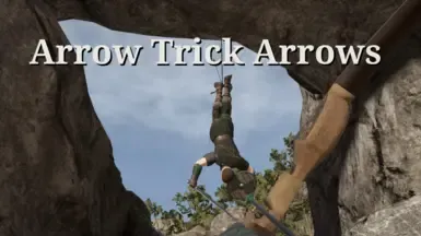 Arrow Trick Arrows for 1.2