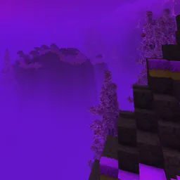 Nexus