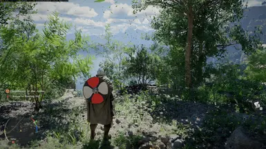 《赤色沙漠》专用第三人称视角模组