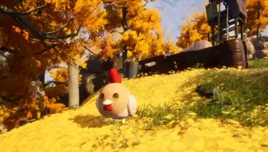 Moore Chickens