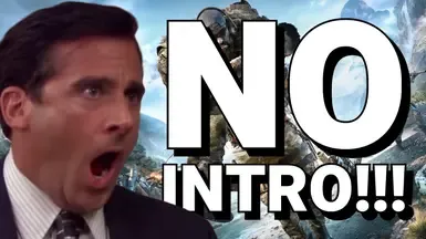 No-Intro(跳过启动画面 - 开机视频)