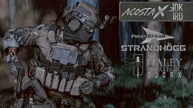 FirstSpear Strandhogg W D3CRX 装备配置