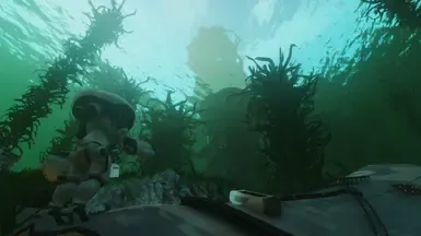 海带森林 Plus