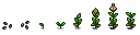 采集者作物