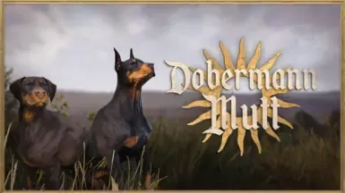 多伯曼犬 - 混种犬替代