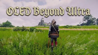 KCD2 - OLED 超越极限