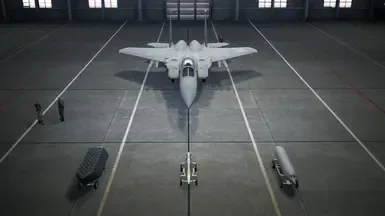 F-15C - ADMM和ODMM互换