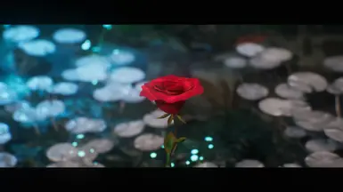 梦幻探险