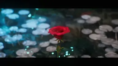 梦幻探险