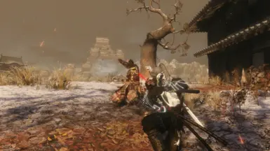 黑武士白龙