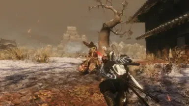 黑武士白龙
