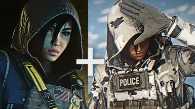Hibana Definitive - R6 图标重制