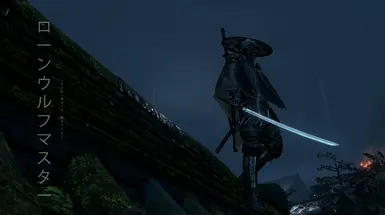 《只狼：影逝二度》孤狼大师 愿影长存