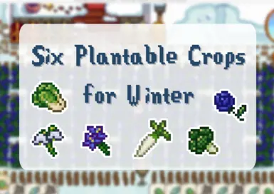冬季可种植的六种作物
