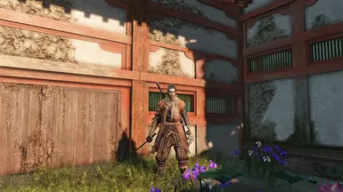 狼之影