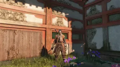 狼之影