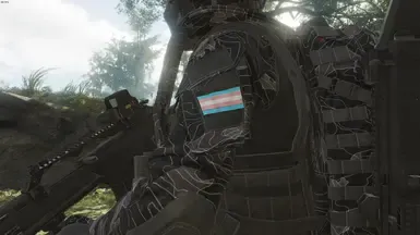 Trans 标志补丁