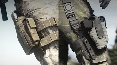 两个枪套