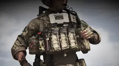 Crye AVS - 满载